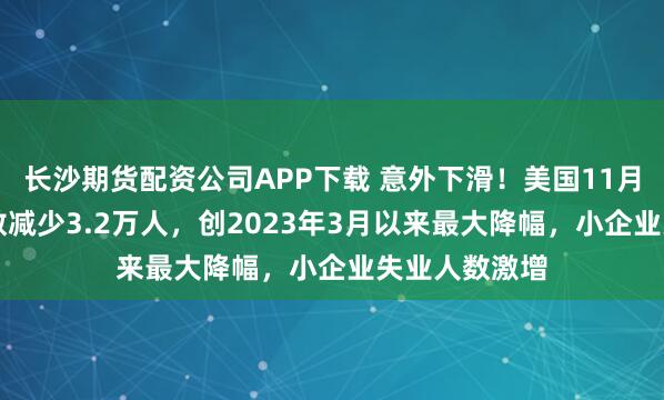长沙期货配资公司APP下载 意外下滑！美国11月ADP就业人数减少3.2万人，创2023年3月以来最大降幅，小企业失业人数激增