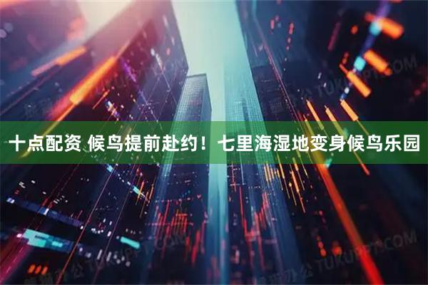 十点配资 候鸟提前赴约！七里海湿地变身候鸟乐园